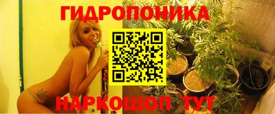 мет Будённовск